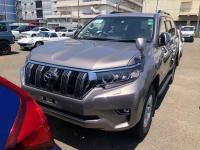 Toyota Land Cruiser Prado 2021