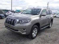 Toyota Land Cruiser Prado 2019