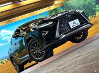 Lexus RX300 2018